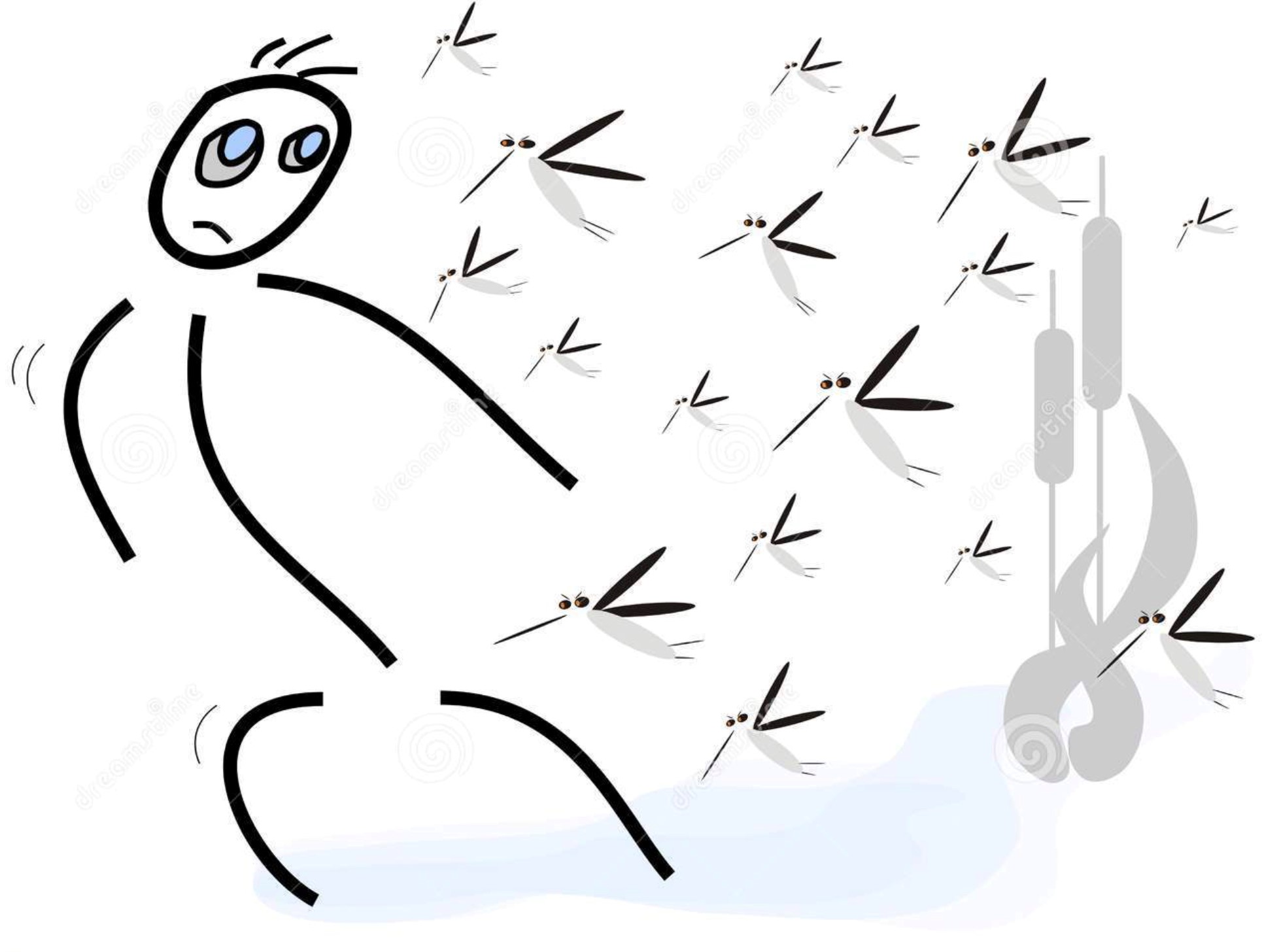 Κουνούπια, μας τσιμπούν, μας αρρωσταίνουν και δε μας αφήνουν να χαρούμε τον κήπο μας, τις καλοκαιρινές νύχτες!